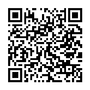 Link to your fundraiser QRCode - Fundraising