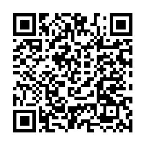 Link to your fundraiser QRCode - Fundraising