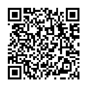 Link to your fundraiser QRCode - Fundraising