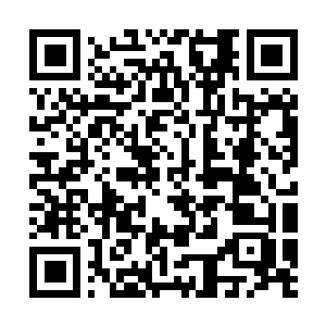 Link to your fundraiser QRCode - Fundraising