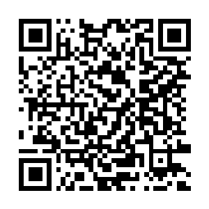 Link to your fundraiser QRCode - Fundraising
