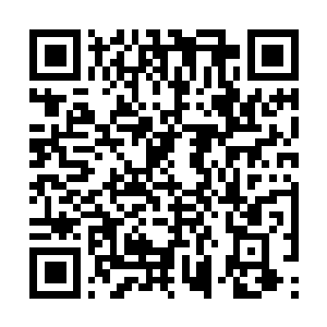 Link to your fundraiser QRCode - Fundraising