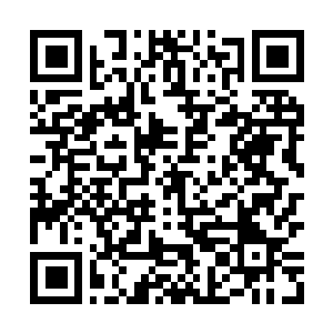 Link to your fundraiser QRCode - Fundraising