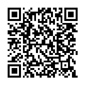 Link to your fundraiser QRCode - Fundraising