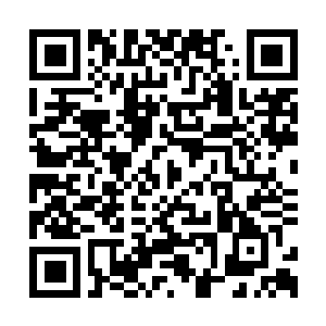 Link to your fundraiser QRCode - Fundraising