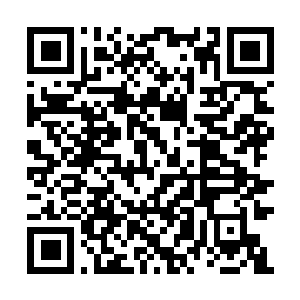 Link to your fundraiser QRCode - Fundraising