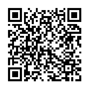 Link to your fundraiser QRCode - Fundraising