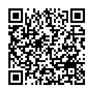 Link to your fundraiser QRCode - Fundraising