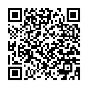 Link to your fundraiser QRCode - Fundraising