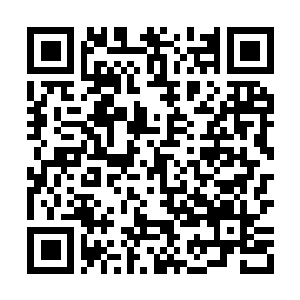 Link to your fundraiser QRCode - Fundraising
