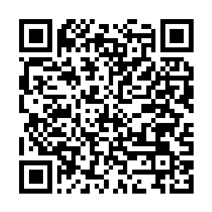 Link to your fundraiser QRCode - Fundraising