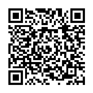 Link to your fundraiser QRCode - Fundraising