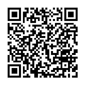 Link to your fundraiser QRCode - Fundraising