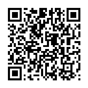 Link to your fundraiser QRCode - Fundraising