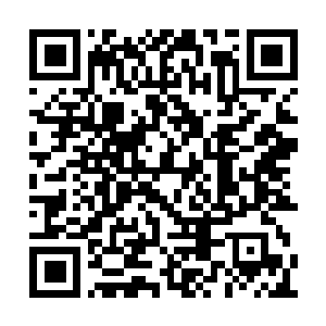 Link to your fundraiser QRCode - Fundraising
