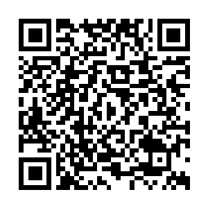 Link to your fundraiser QRCode - Fundraising