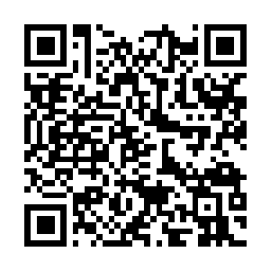 Link to your fundraiser QRCode - Fundraising