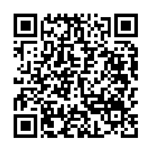 Link to your fundraiser QRCode - Fundraising