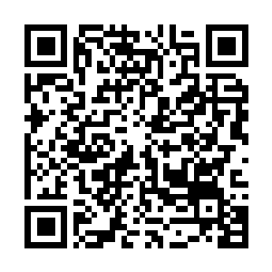 Link to your fundraiser QRCode - Fundraising