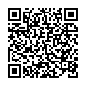 Link to your fundraiser QRCode - Fundraising