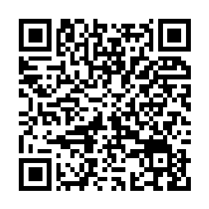 Link to your fundraiser QRCode - Fundraising