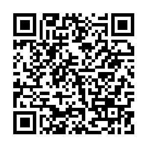 Link to your fundraiser QRCode - Fundraising