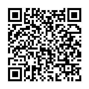 Link to your fundraiser QRCode - Fundraising