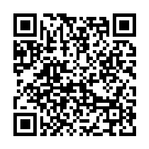 Link to your fundraiser QRCode - Fundraising
