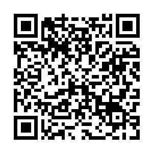 Link to your fundraiser QRCode - Fundraising