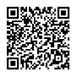 Link to your fundraiser QRCode - Fundraising