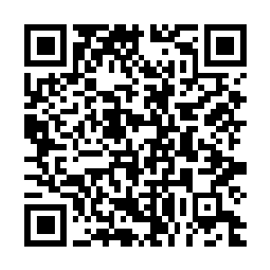 Link to your fundraiser QRCode - Fundraising