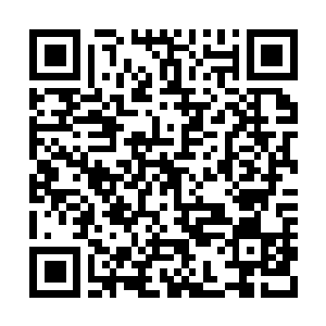 Link to your fundraiser QRCode - Fundraising