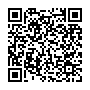 Link to your fundraiser QRCode - Fundraising