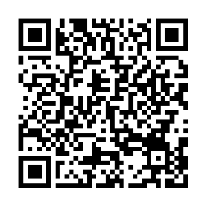 Link to your fundraiser QRCode - Fundraising