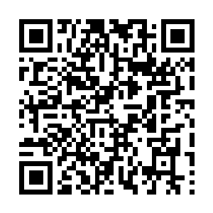Link to your fundraiser QRCode - Fundraising
