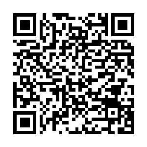 Link to your fundraiser QRCode - Fundraising