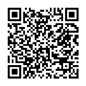 Link to your fundraiser QRCode - Fundraising