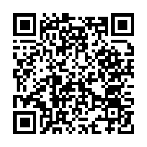 Link to your fundraiser QRCode - Fundraising