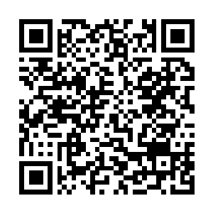 Link to your fundraiser QRCode - Fundraising