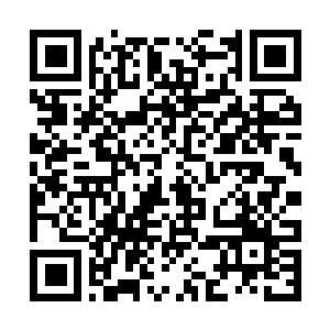 Link to your fundraiser QRCode - Fundraising
