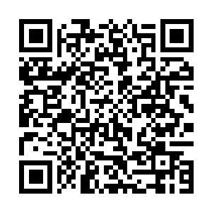 Link to your fundraiser QRCode - Fundraising