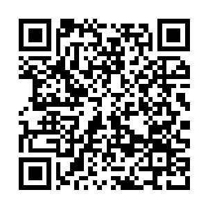 Link to your fundraiser QRCode - Fundraising
