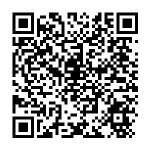 Link to your fundraiser QRCode - Fundraising