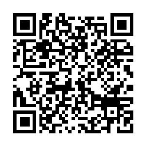 Link to your fundraiser QRCode - Fundraising