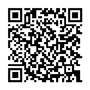 Link to your fundraiser QRCode - Fundraising
