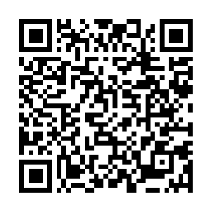 Link to your fundraiser QRCode - Fundraising