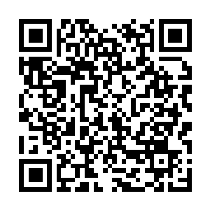 Link to your fundraiser QRCode - Fundraising