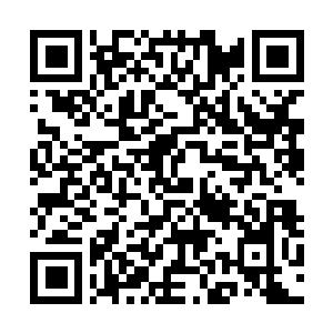 Link to your fundraiser QRCode - Fundraising