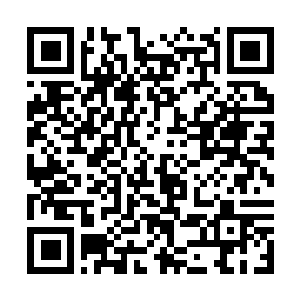Link to your fundraiser QRCode - Fundraising