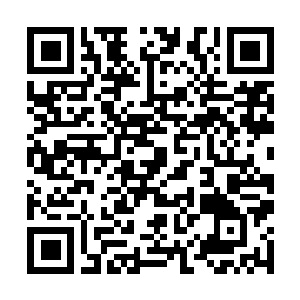 Link to your fundraiser QRCode - Fundraising